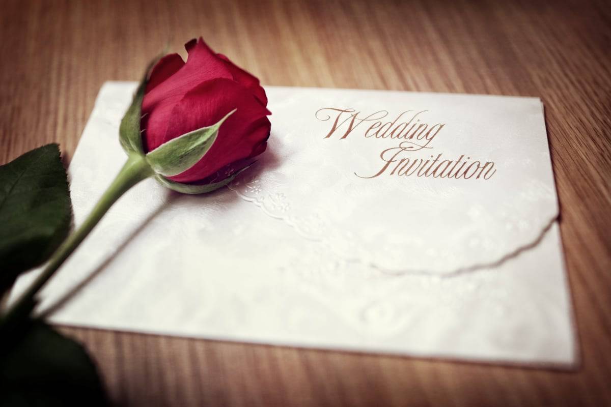 Wedding invitation with red rose on top. 