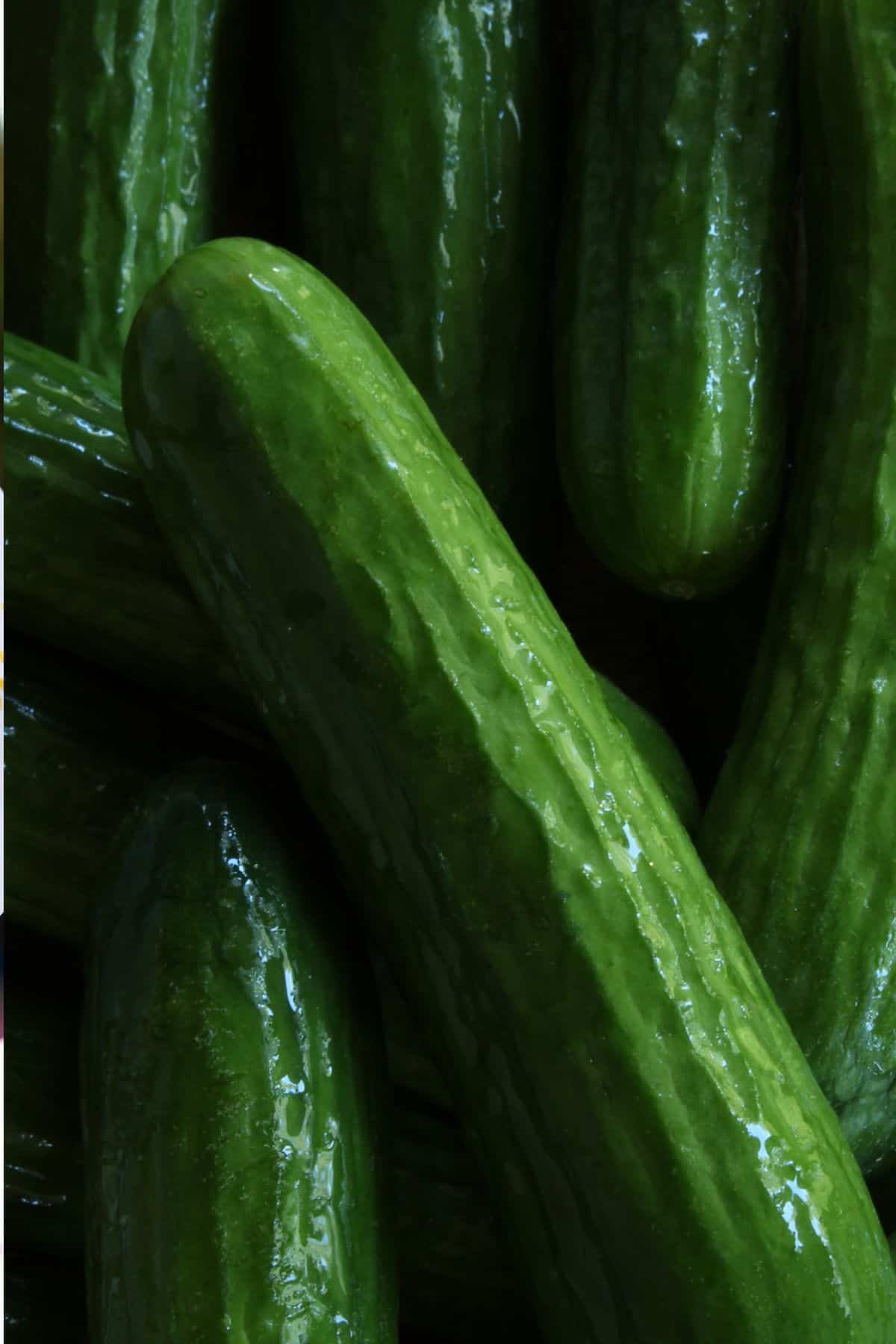cucumber.